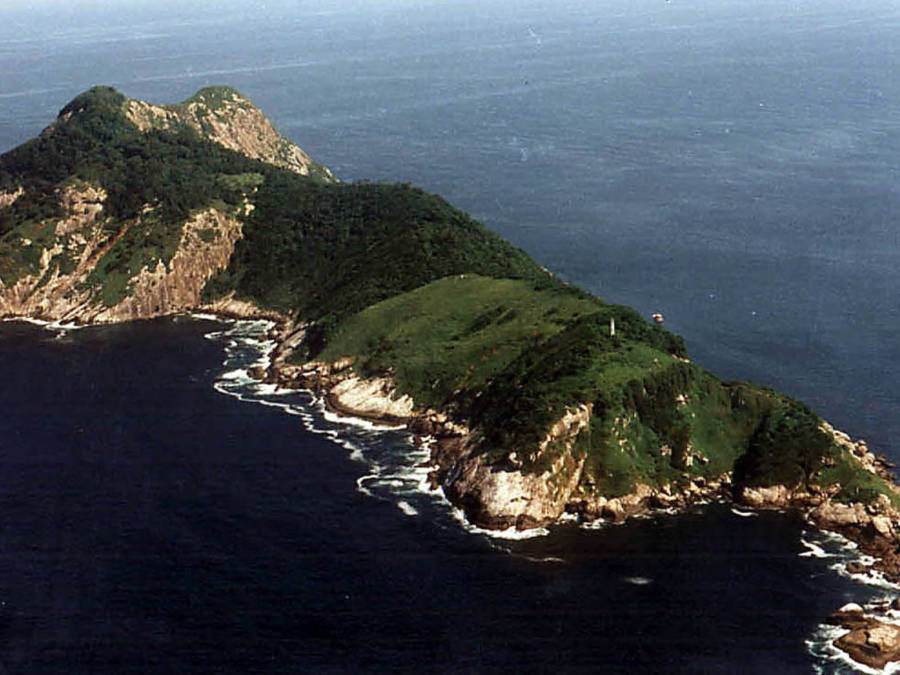 Snake Island