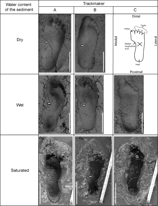 Chile Footprint Analysis